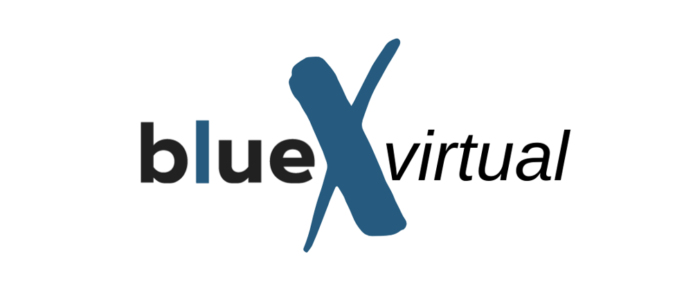 Blue X Virtual Learning